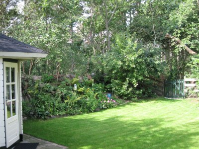 Holiday house Dennenhoek - Outdoor photo 3