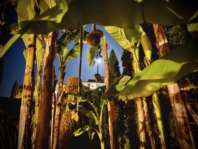 Holiday apartment Nuages - Environment photo 26