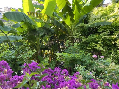 Holiday apartment Nuages - Environment photo 32