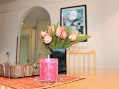 Bungalow The Orange Tulip - Features photo 16