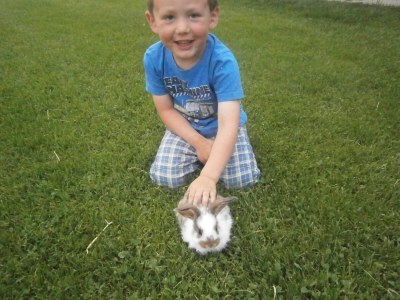 Holiday apartment Schadler - Environment photo 11