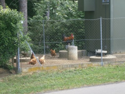 Holiday apartment Schadler - Environment photo 12