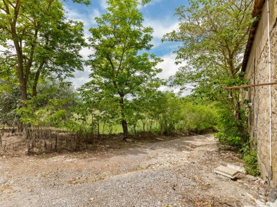 Apartment Flat with pool in the heart of vineyards - Outdoor photo 3