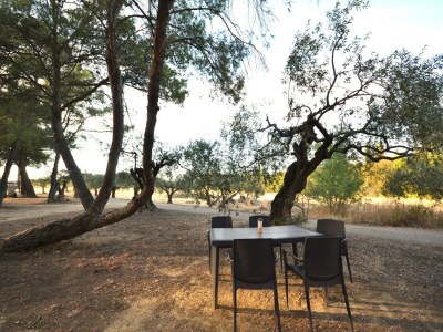 Apartment Flat with pool in the heart of vineyards - Features photo 12