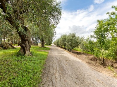 Apartment Flat with pool in the heart of vineyards - Environment photo 32
