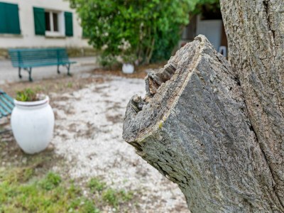 Apartment Flat with pool in the heart of vineyards - Outdoor photo 34
