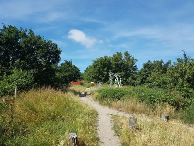 Holiday apartment Strandgroet - Environment photo 17