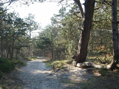 Holiday apartment Strandgroet - Environment photo 18