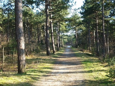 Holiday apartment Strandgroet - Environment photo 19