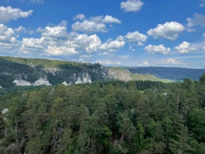 Apartment Ferienwohnung in Dresden - Environment photo 29