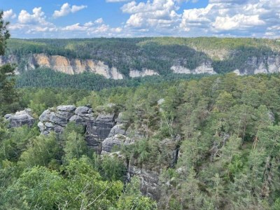 Apartment Ferienwohnung in Dresden - Environment photo 30