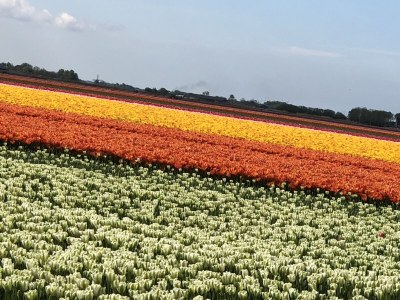 Holiday house Celina - Environment photo 21