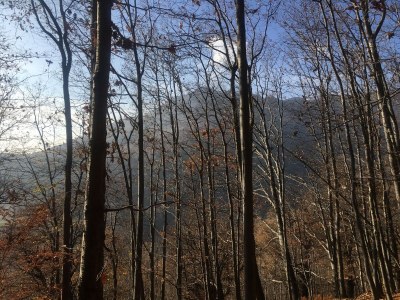 Holiday apartment Art Home Beni in Lugano-Castagnola - Environment photo 38