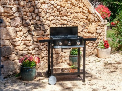 Holiday house Tranquil Escape in Loubejac - Outdoor photo 38