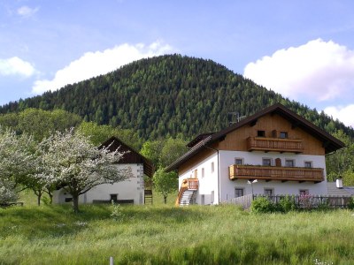 Holiday apartment Morgensonne - Outdoor photo 12