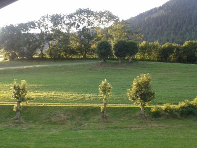 Holiday apartment Morgensonne - Environment photo 23