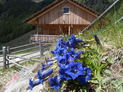 Holiday apartment Morgensonne - Environment photo 27