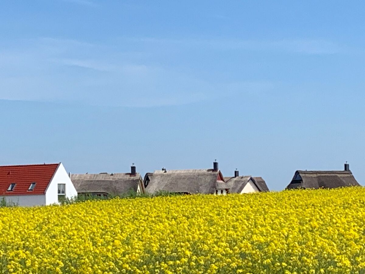 Holiday house Jules Hus - Outdoor photo 2