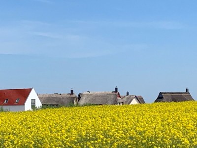 Holiday house Jules Hus - Outdoor photo 2