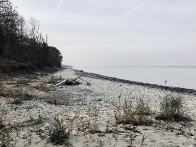 Holiday house Jules Hus - Environment photo 15