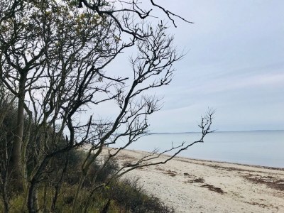 Holiday house Jules Hus - Environment photo 16