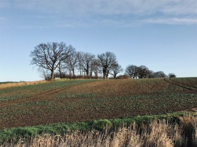 Holiday house Jules Hus - Environment photo 17