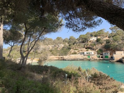 Holiday house Casa Delfin - Environment photo 27