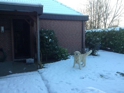 Holiday house Steiner - Outdoor photo 7