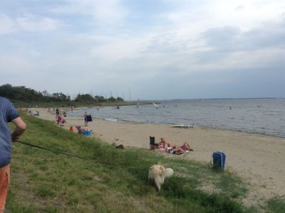 Holiday house Steiner - Environment photo 20