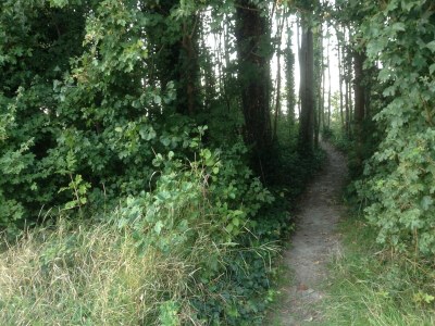 Holiday house Steiner - Environment photo 22