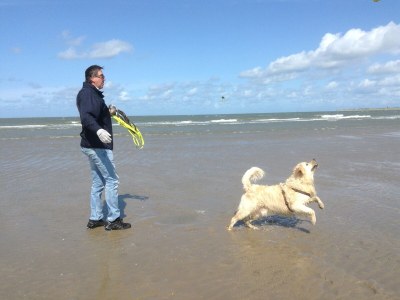 Holiday house Steiner - Environment photo 23