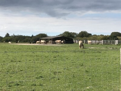 Holiday house Steiner - Environment photo 28