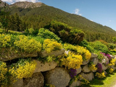 Holiday apartment Stubaier Farmers' Apartment - Outdoor photo 9