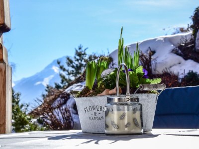 Holiday apartment Stubaier Farmers' Apartment - Outdoor photo 10