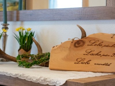 Holiday apartment Stubaier Farmers' Apartment - Features photo 24