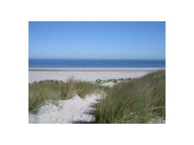 Holiday house Zeeduin - Environment photo 29