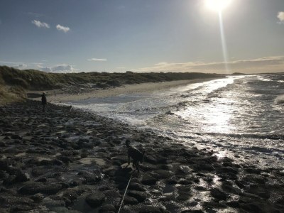 Holiday house Zeeduin - Environment photo 30