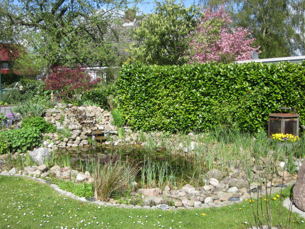 Holiday apartment Ferienwohnung Alisa - Outdoor photo 3