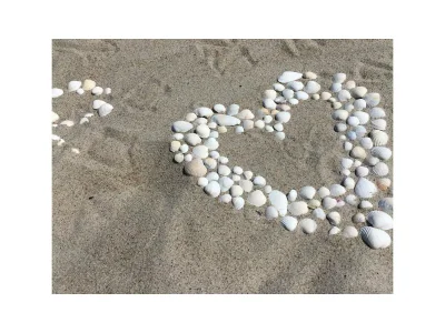 Holiday apartment Ferienwohnung Alisa - Environment photo 10