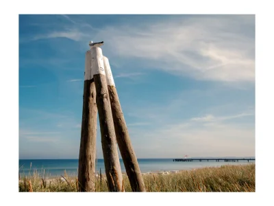 Holiday apartment Ferienwohnung Alisa - Environment photo 11