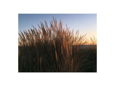 Holiday apartment Ferienwohnung Alisa - Environment photo 15