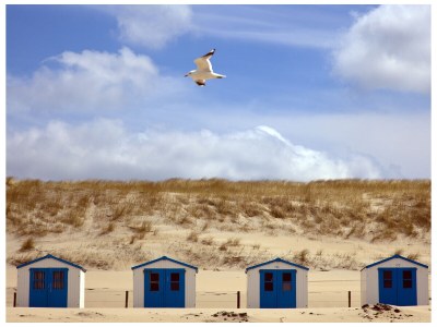 Apartment Princess Juliana 116 with sea view - Environment photo 12