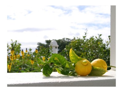 Holiday house Casas las Piedras - Outdoor photo 15