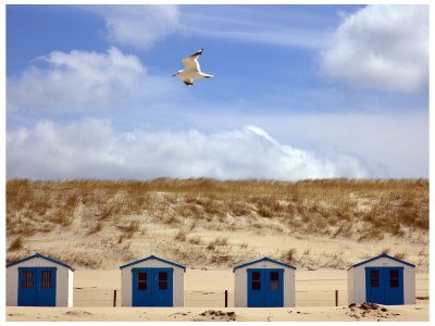 Apartment Princess Juliana 94 with sea view - Environment photo 14