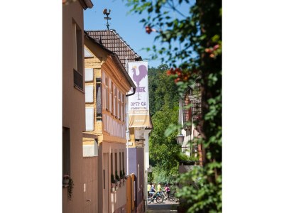 Apartment Apartment GUTE STUBB´| AD1716 - Outdoor photo 2