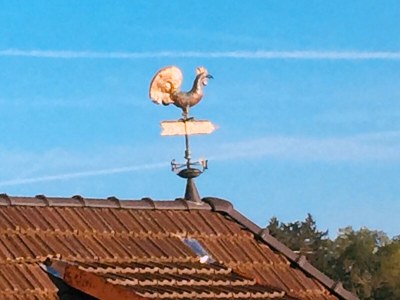 Apartment Apartment GUTE STUBB´| AD1716 - Outdoor photo 11