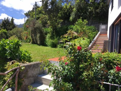 Holiday house Madeira Casa - Outdoor photo 3