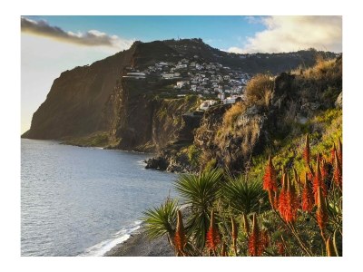 Holiday house Madeira Casa - Environment photo 25