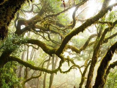 Holiday house Madeira Casa - Environment photo 32