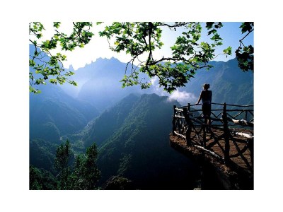 Holiday house Madeira Casa - Environment photo 35